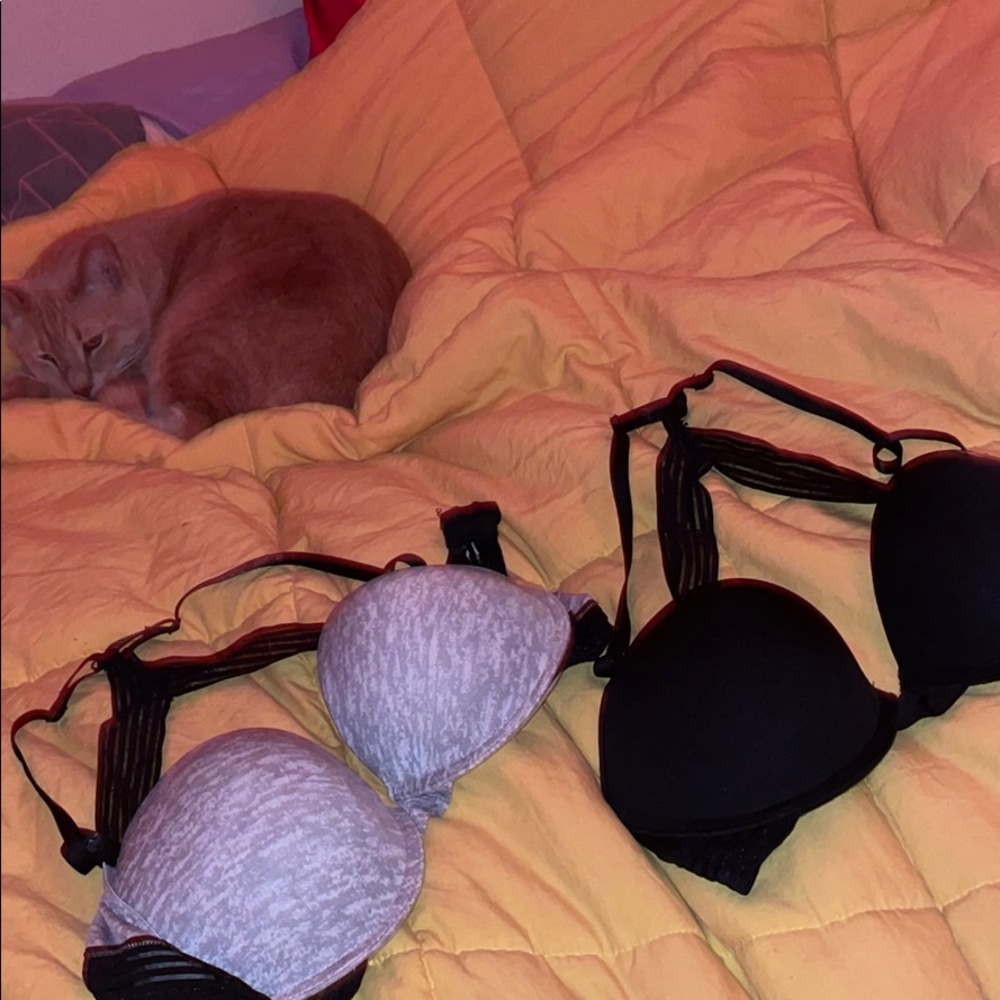 Bebe bras